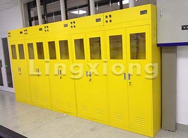 Gas Cylinder Cabinet