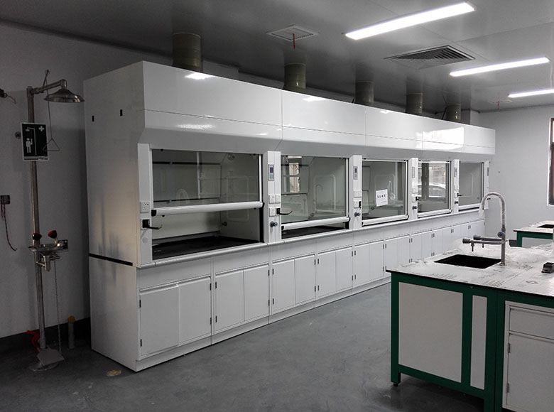 All Steel Fume Hood