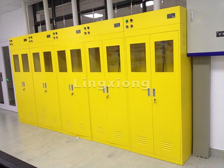 Gas Cylinder Cabinet